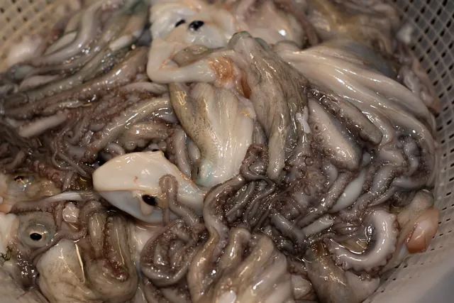 Calamari freschi appena puliti