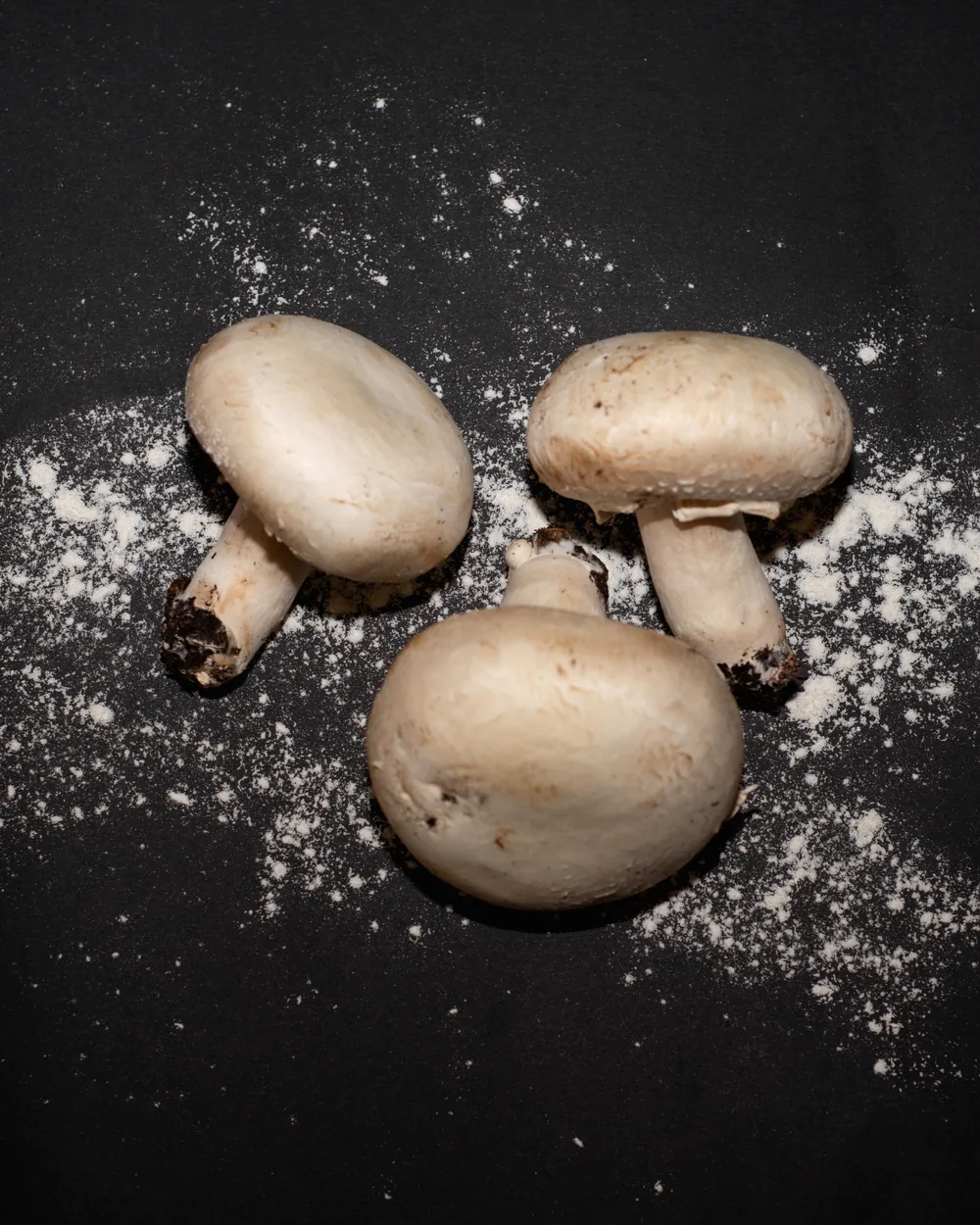Funghi freschi su fondo nero