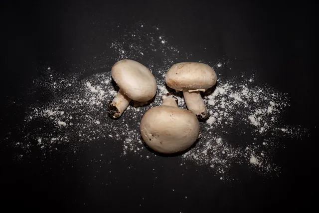Funghi freschi pronti per la cucina